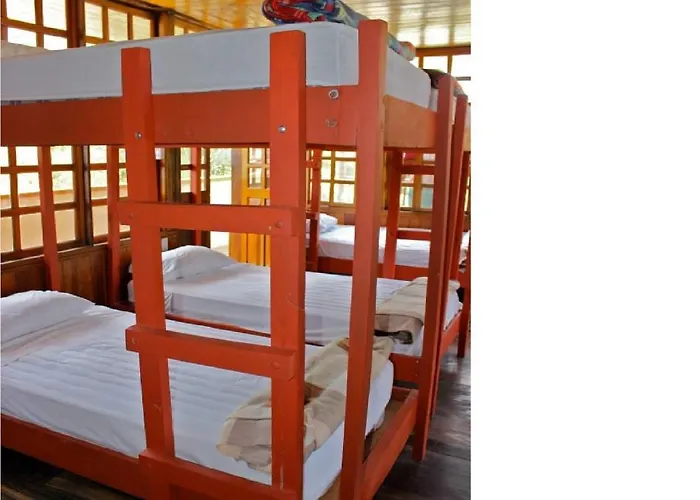 Coral Reef Surf And Camp Auberge de jeunesse *
