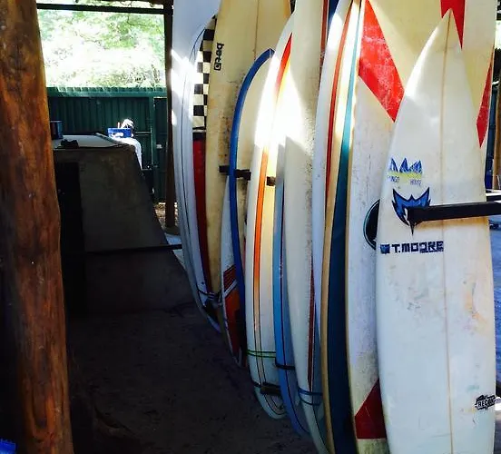 Auberge de jeunesse Coral Reef Surf And Camp *