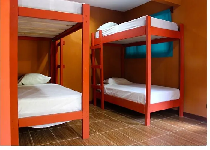Coral Reef Surf And Camp