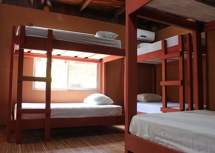 Coral Reef Surf And Camp Auberge de jeunesse *