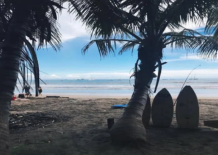 Coral Reef Surf And Camp *