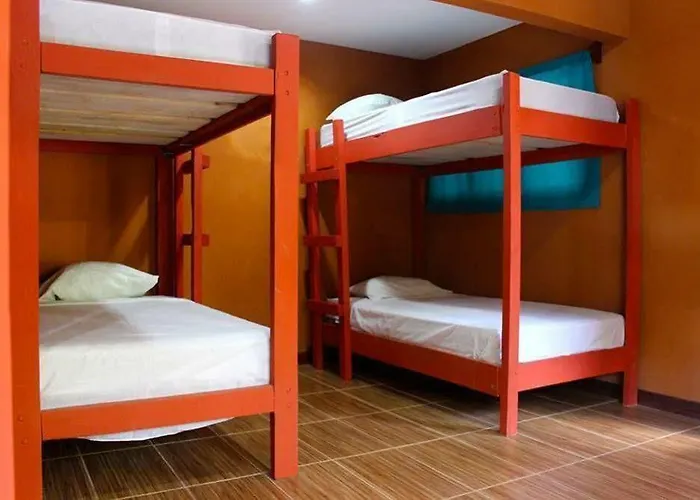 Coral Reef Surf And Camp